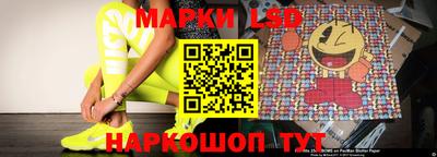 крисы Новодвинск