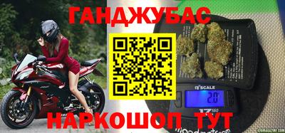 крисы Новодвинск