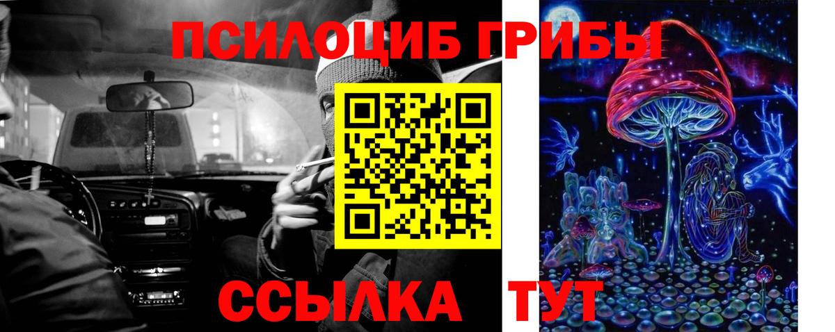 Псилоцибиновые грибы мицелий Соликамск