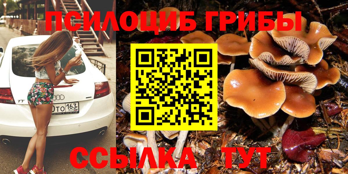 Псилоцибиновые грибы MAGIC MUSHROOMS  Вход с VPN  закладки  Соликамск 